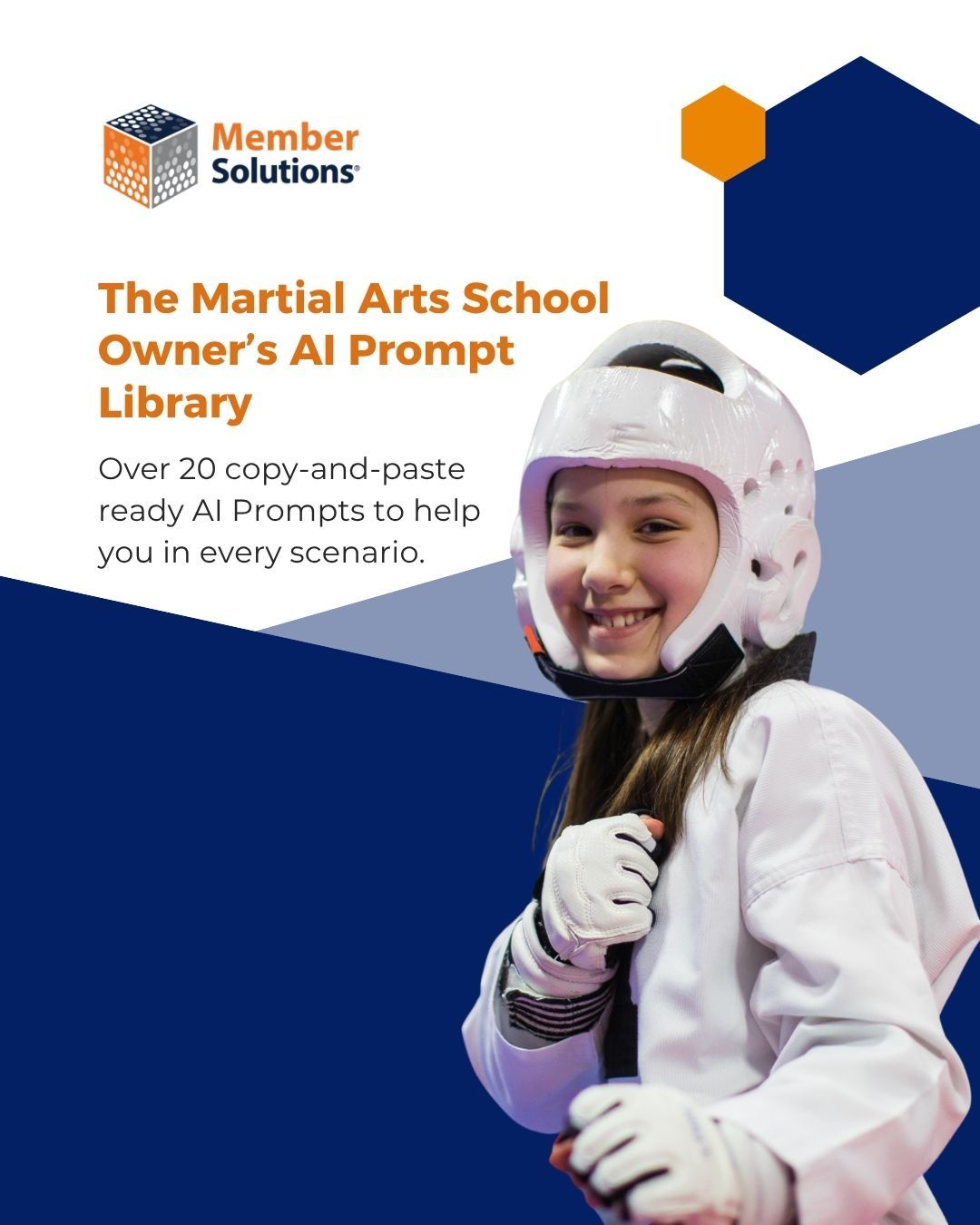 The Martial Arts Club Owners AI Prompt Library