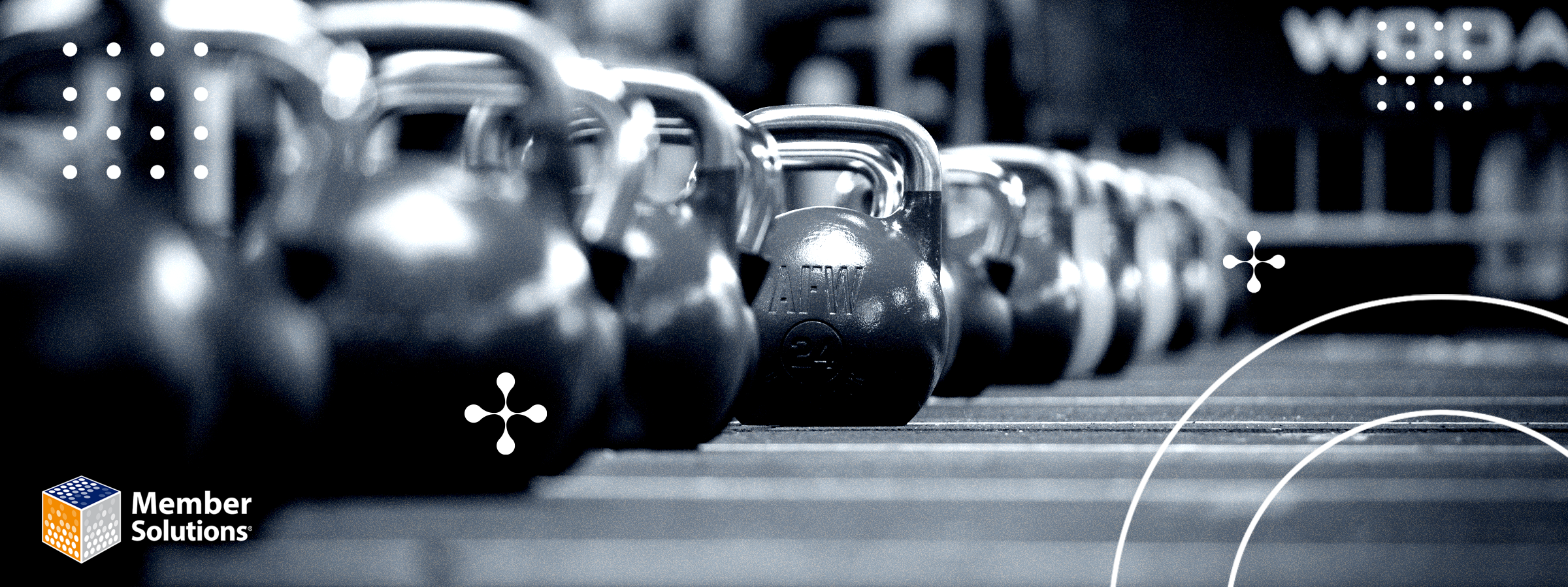 A black and white image of a row of kettlebells on a gym floor